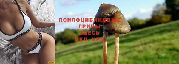 спиды Алексеевка