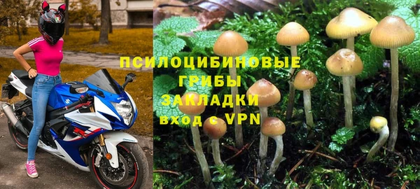 a pvp Алзамай