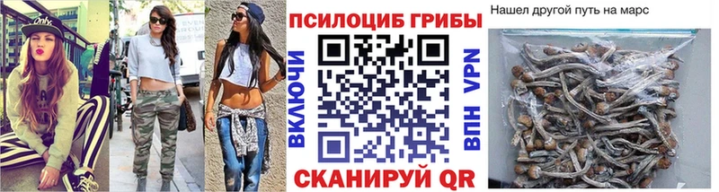 цена наркотик  Рубцовск  Галлюциногенные грибы GOLDEN TEACHER 